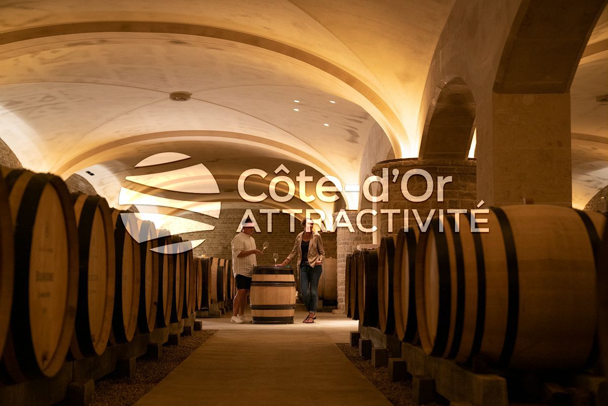 oenotourisme-le-central